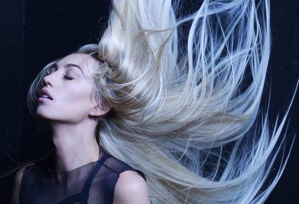 BLONDE BUNDLE